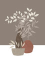 Image Not Available